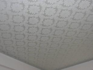 Тканевый потолок в прихожую 8м2